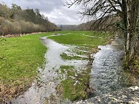 IMG_8191