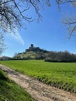 IMG_4196