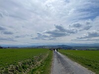 IMG_4305