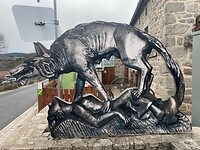 IMG_4338