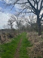 IMG_4353