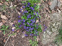IMG_4355
