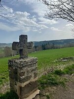 IMG_4356