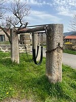 IMG_4357