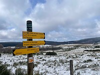IMG_8693