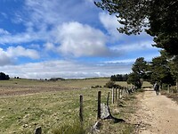 IMG_8717