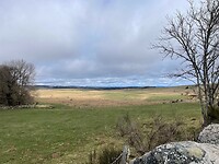 IMG_8719