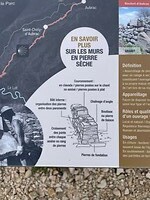 IMG_8726