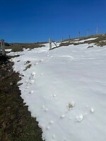 IMG_8734