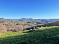 IMG_8755