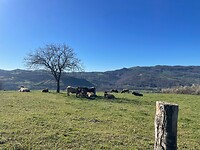 IMG_8765