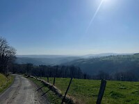 IMG_8794