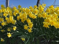 IMG_8795