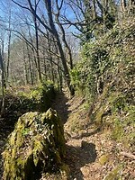 IMG_8810