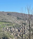 IMG_8817