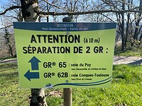 IMG_8821