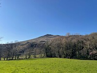 IMG_8826