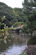 Shinjuko5