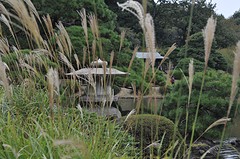 Shinjuko6