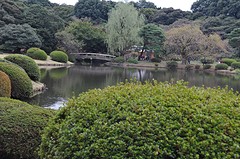 Shinjuko7