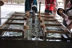 Meiji shrine3