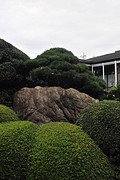Kim2-17
