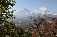 Fuji1-3