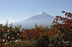 Fuji1-5