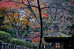 Fuji1-13