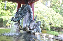 Fuji1-16