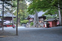 Fuji1-20