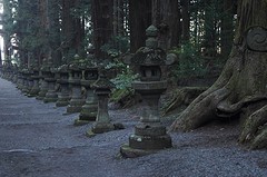 Fuji1-21
