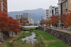 Matsu3-1
