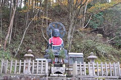 Koya10-2