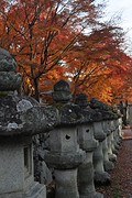 Koya10-3