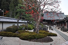 Koya10-4