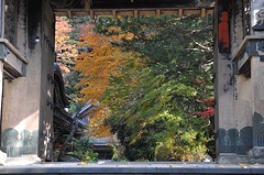 Koya10-5