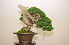 Tai3-15