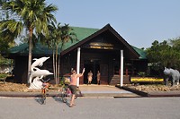 image10