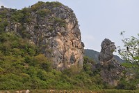 image19