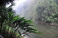 image6