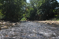 image8