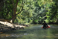 image11
