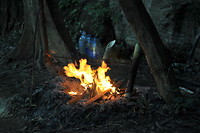 image12