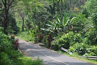 image14
