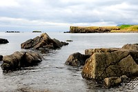 DSC_0701