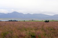 DSC_0715