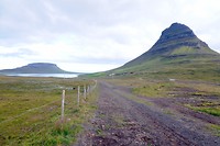 DSC_0977