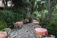 Hortensia garden thee tuin