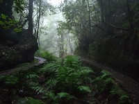 IMG_20190329_122941
